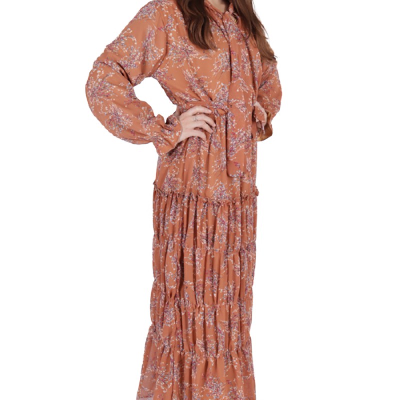 Women’s Full Sleeve Printed Maxi Dress--1