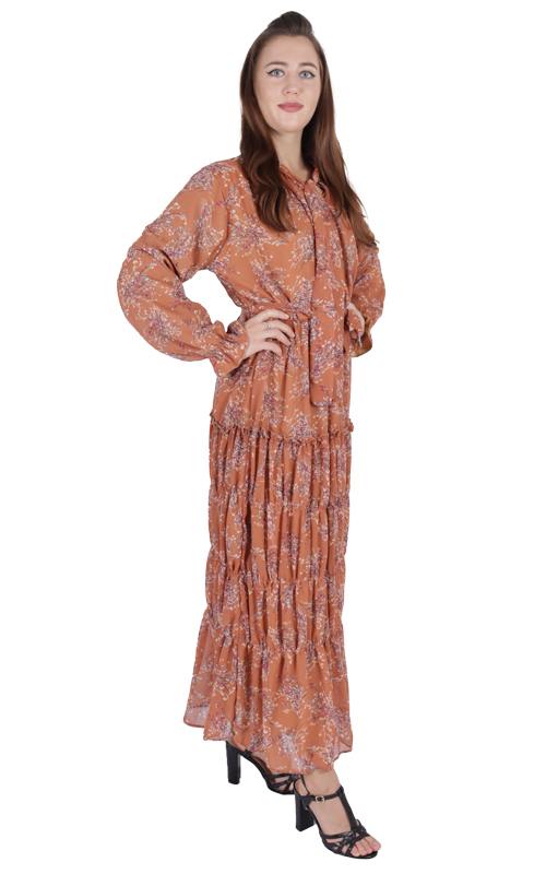 Women’s Full Sleeve Printed Maxi Dress