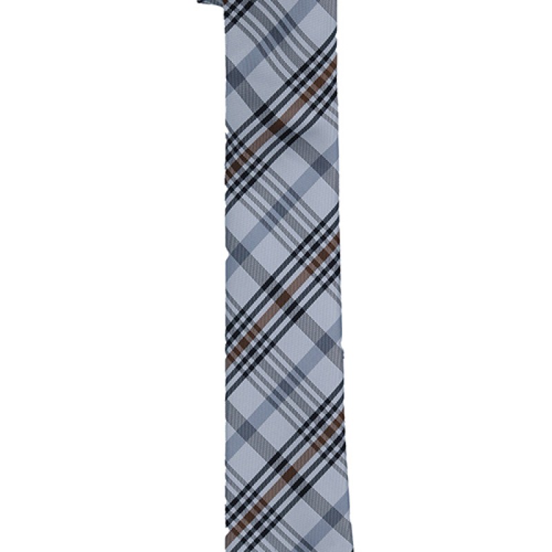 Men's Designer Tie--2