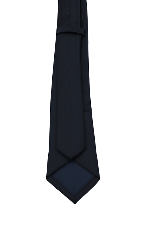 Fancy Tie for Men